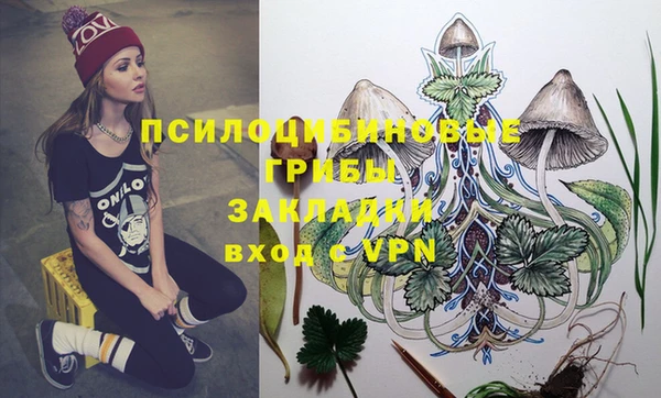 индика Волоколамск
