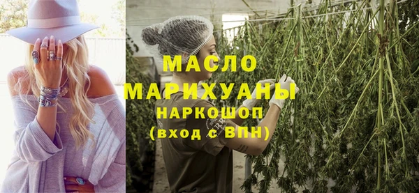 индика Волоколамск