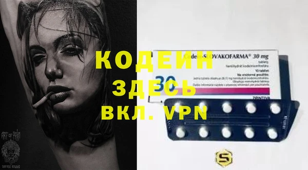 индика Волоколамск