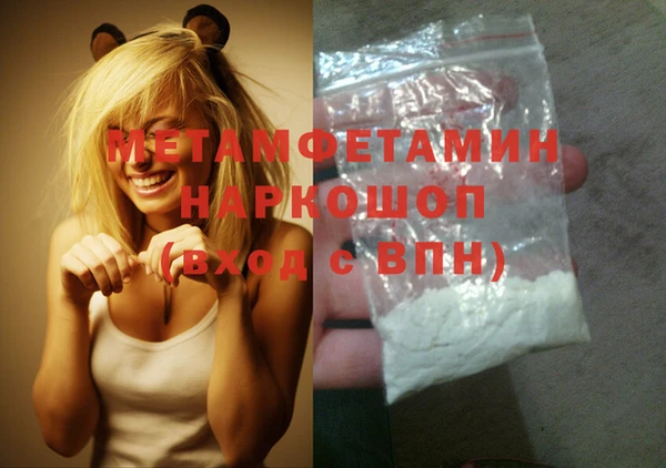 индика Волоколамск
