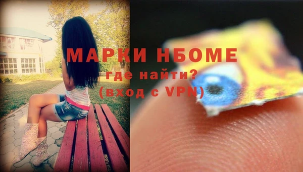 индика Волоколамск