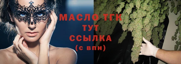 индика Волоколамск
