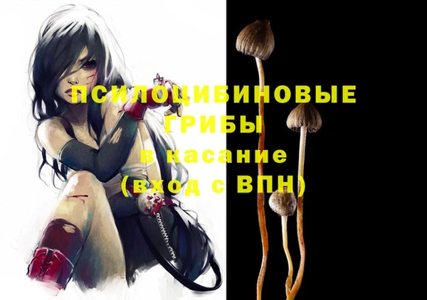 мескалин Мегион