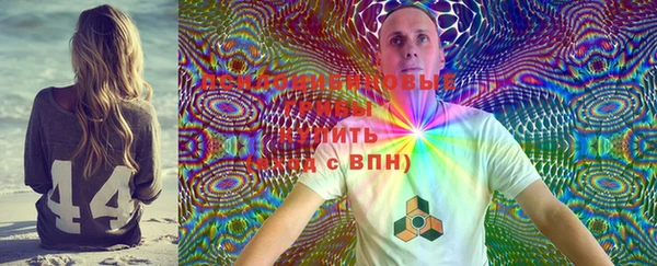 индика Волоколамск