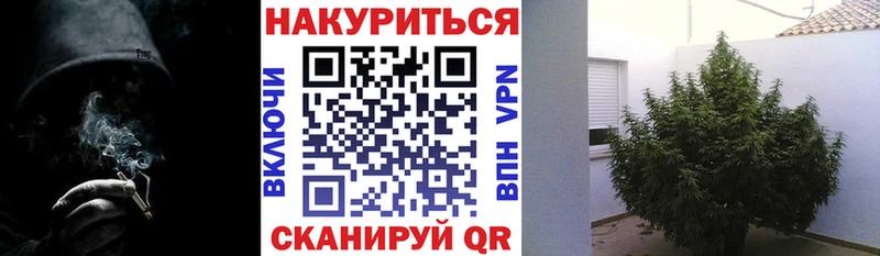 Шишки марихуана ГИДРОПОН  цена   blacksprut ССЫЛКА  Павловск 